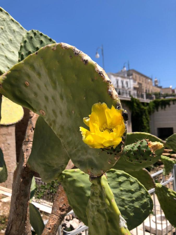 Lamanna Summer House 滨海波利尼亚诺 外观 照片